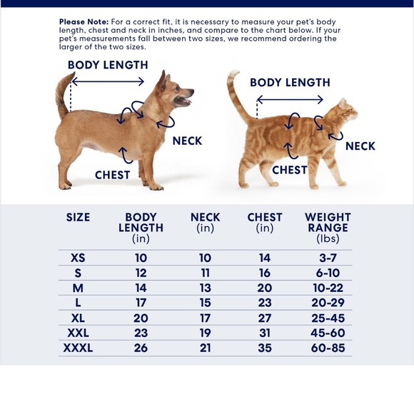 NWT Xmas dog sweater - Picture 2 of 3